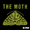 the moth